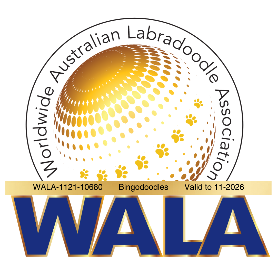 Bingodoodles Badge